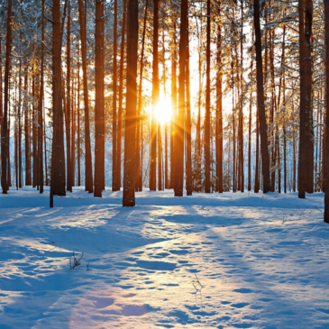 Yoga et Hiver